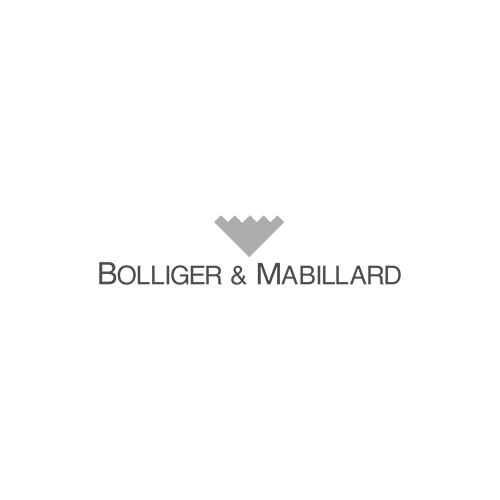 B&M (Bolliger & Mabillard)